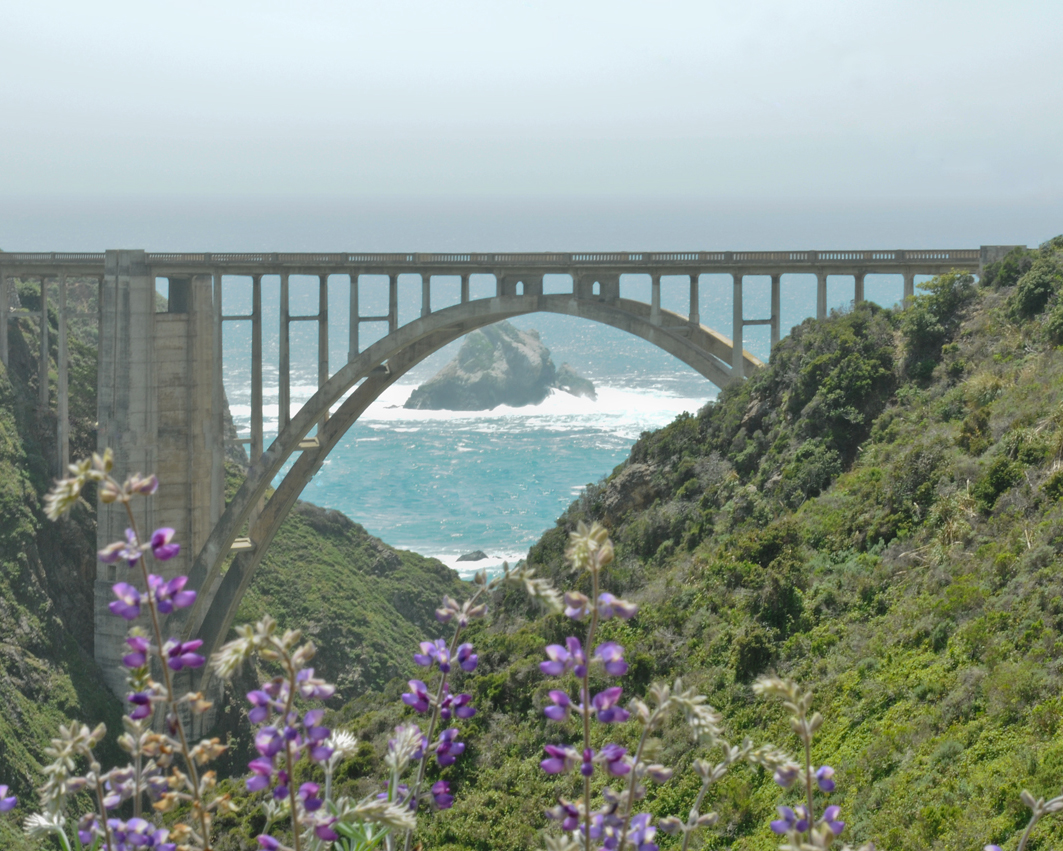 Copyright © 2010 Deborah M. Zajac. ALL RIGHTS RESERVED