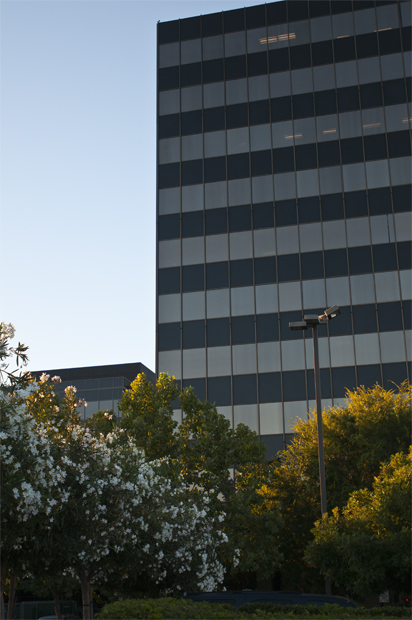 Golden Hour shines down on the Campbell Towers