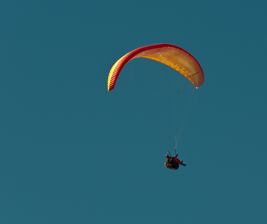 Soaring with the Hawks above Mission Peak