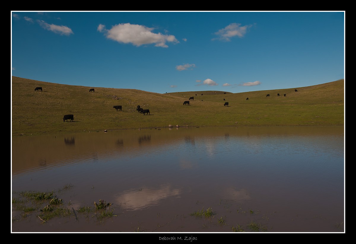 "...keep knocking, and the Joy inside will eventually open a win