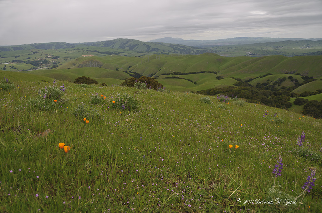 Training for Hike to Cloud's Rest Yosemite