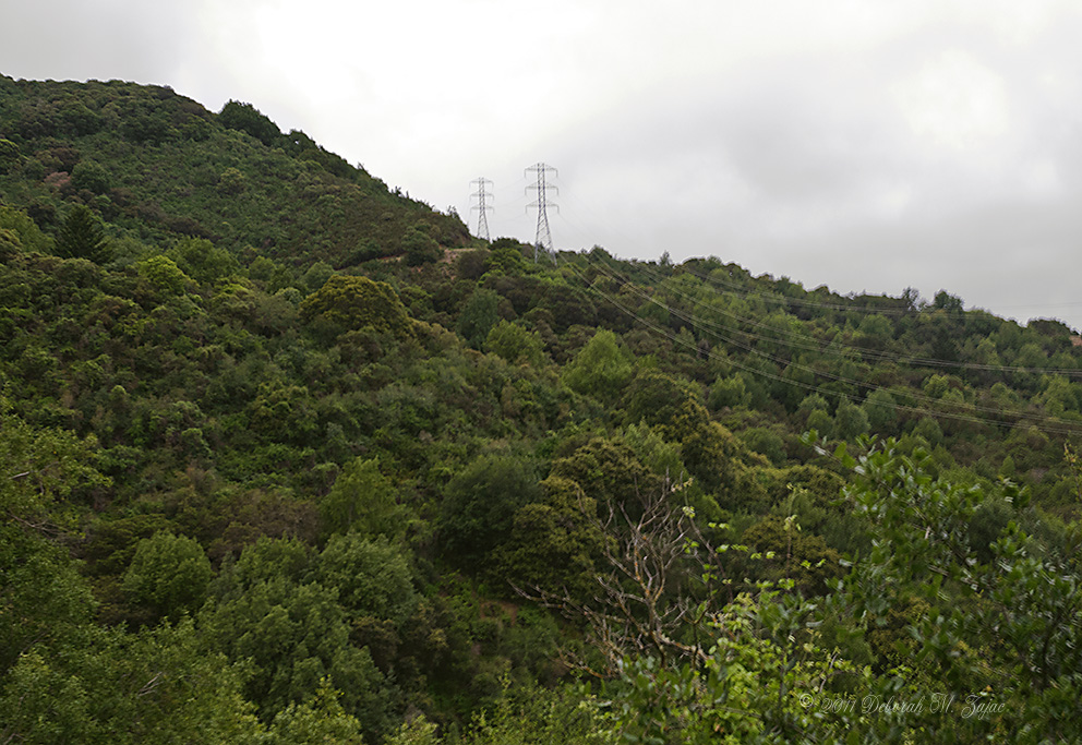 Looking up to Vista Point