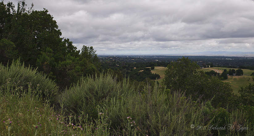 View of Hoover Tower