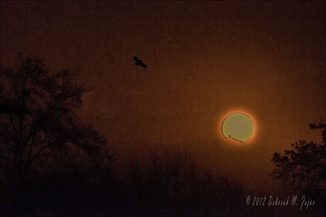 Sunrise over Lick Observatory San Jose California