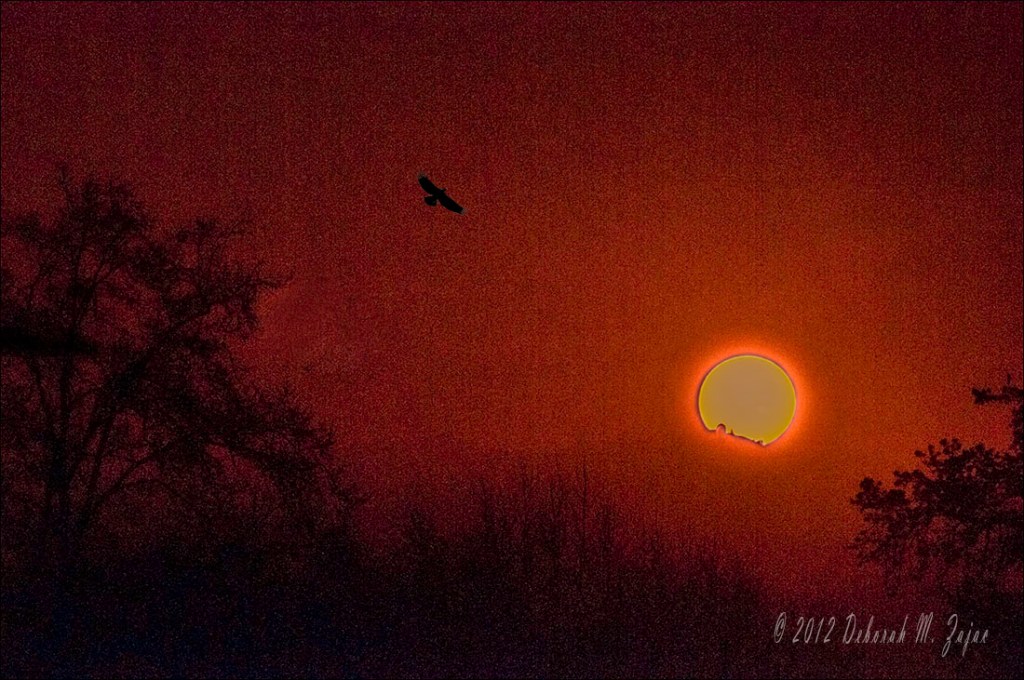 Sunrise over Lick Observatory San Jose California