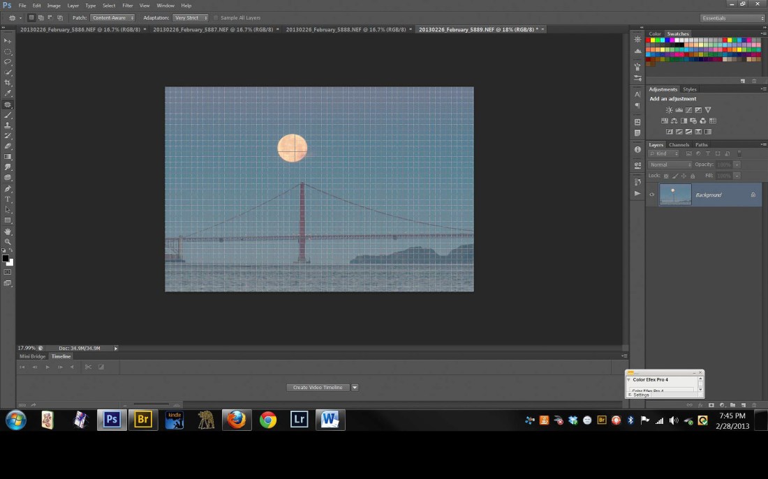 © 2013 Deborah M Zajac. All Rights Reserved.