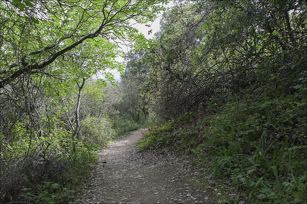 Nature Trail