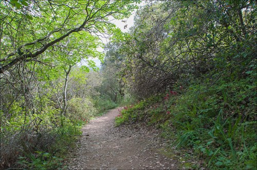 Nature Trail
