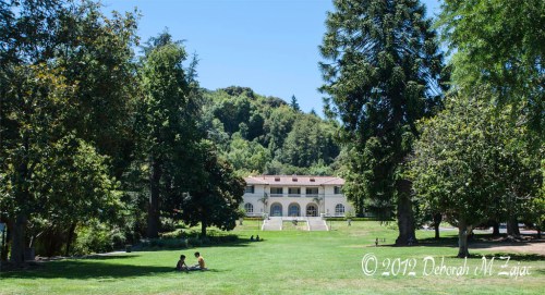 Villa Montalvo from the great lawn