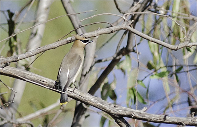 On the third day there was better light.