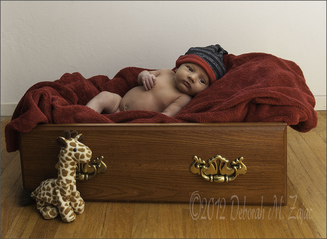 Jaxon in Red Blanket