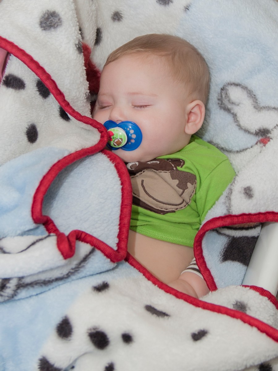20130618_3436 Jaxon sleeping in basket crop