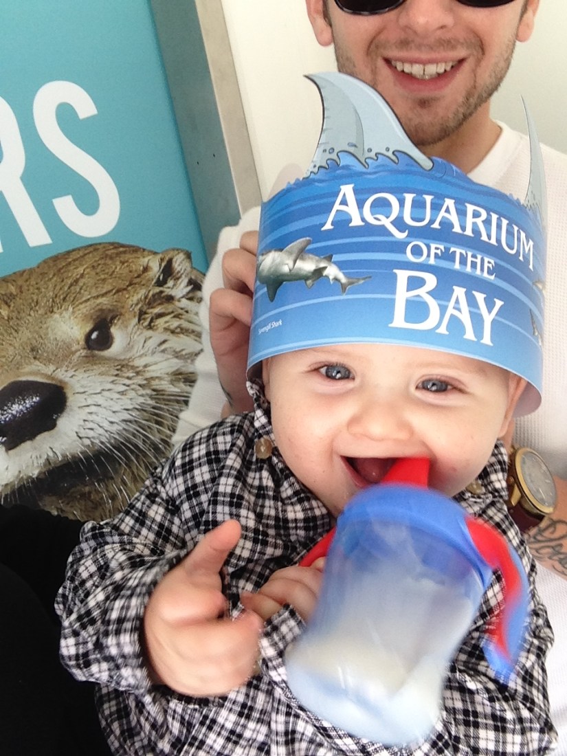 20130927_iphone 3gs photos and videos_2219