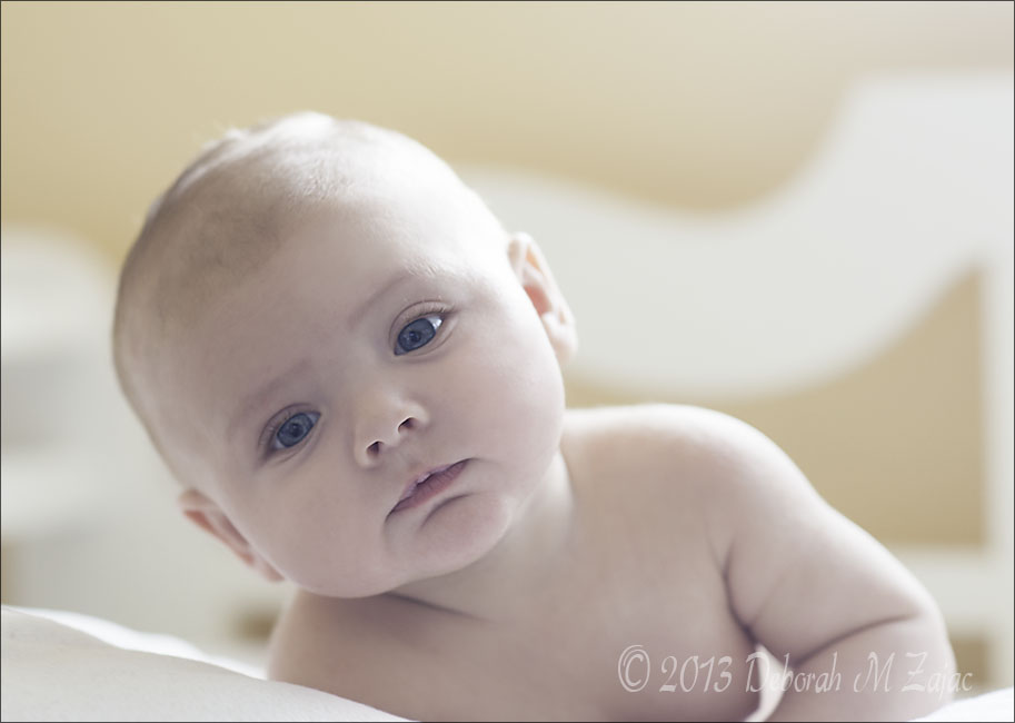 Jaxon 12 weeks old
