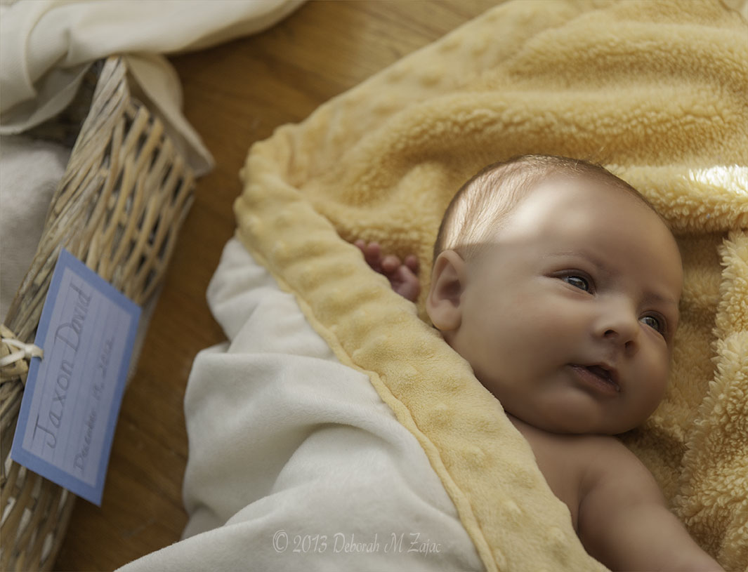 Jaxon Out-take