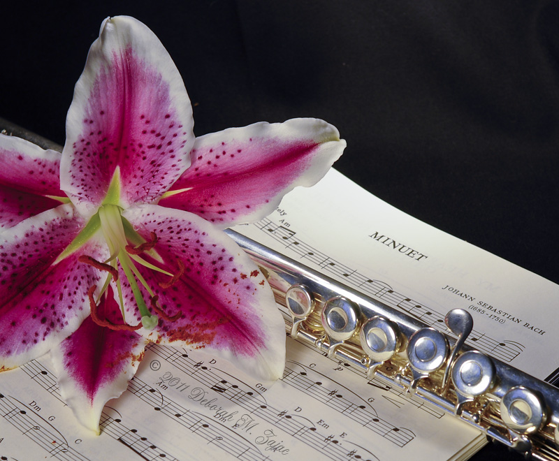 Flute and Stargazer Lily 72 dpi