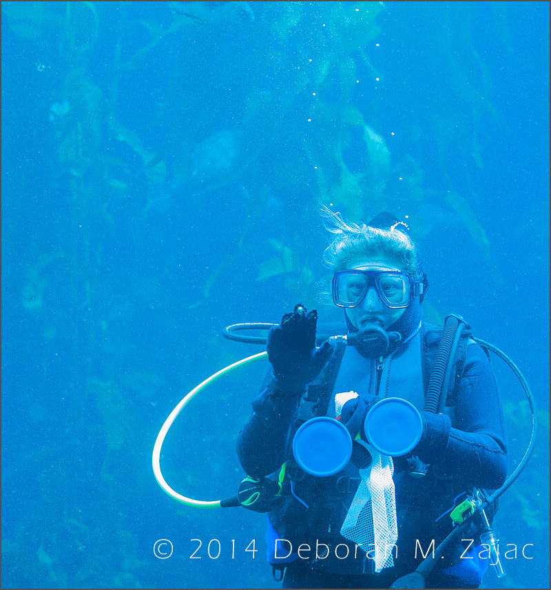 Female Diver