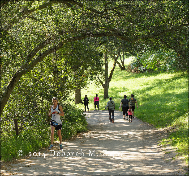 First Woman I saw coming down the mountain