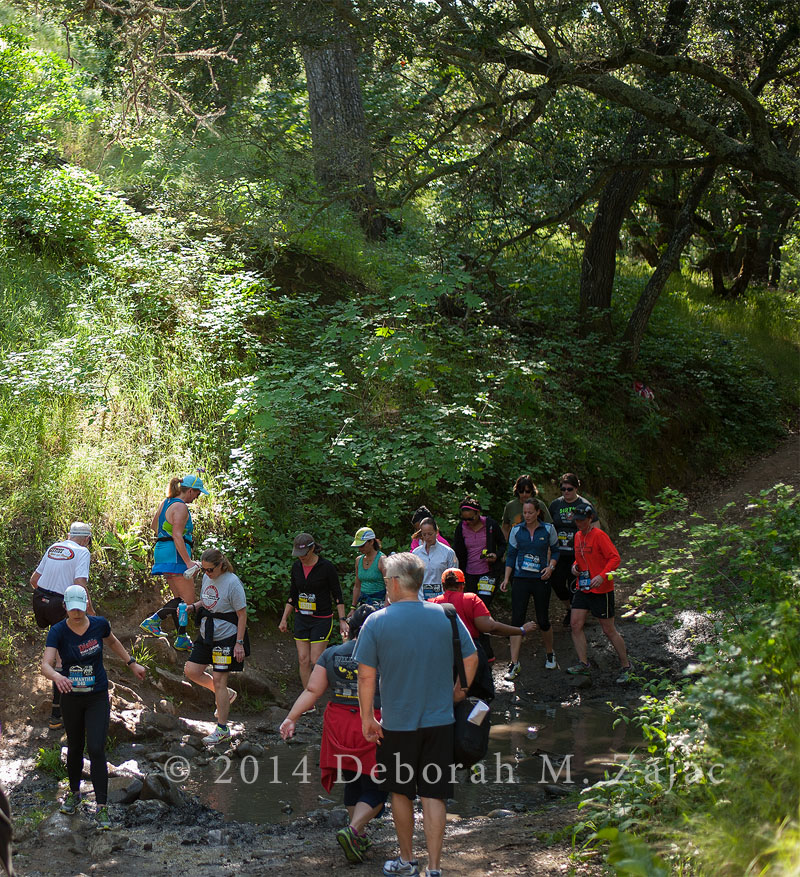 5 Crossing the creek_4944