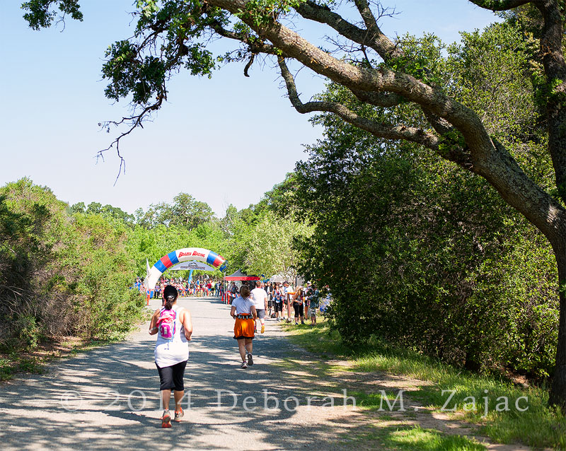 Nearing the Finish line