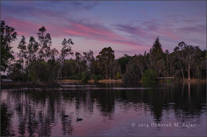 Sunset Los Gatos, CA