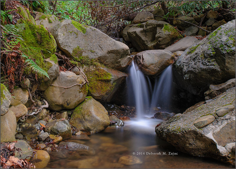 A little Spring Waterfall on Swanson Creek