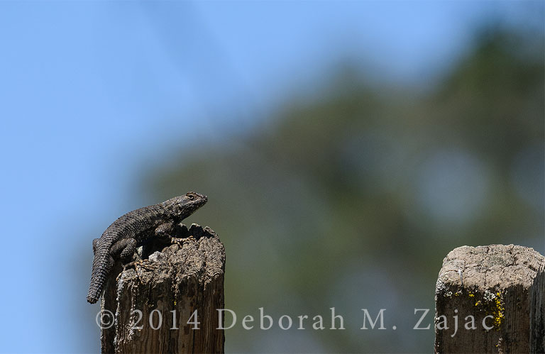 "I hate the words 'handicapped' and 'disabled'. They imply that