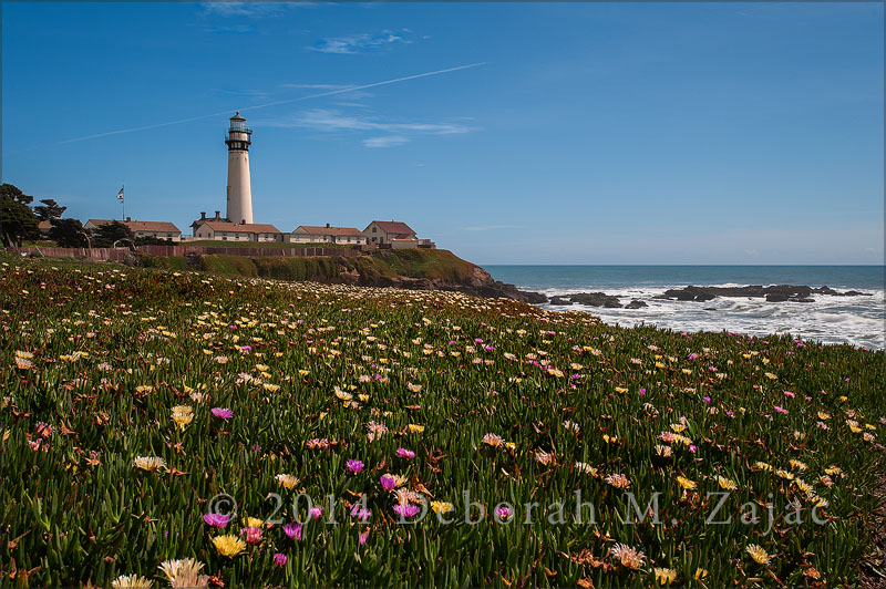 A Spring afternoon at Pigeon Point Lightstation