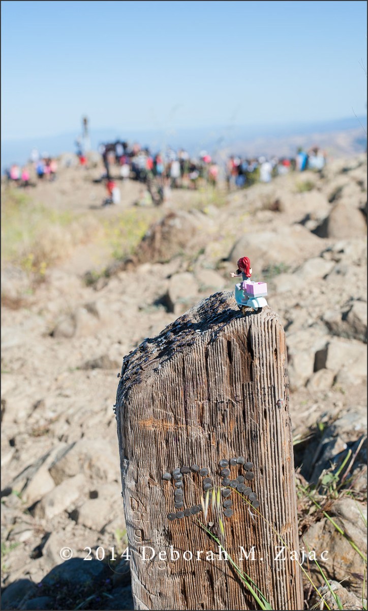 Travelerette on Mission Peak