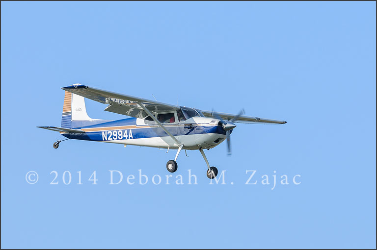 Another kind of Bird-Cessna 180