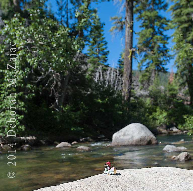 Travelerette on the  Stanislaus River