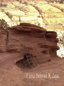 Ladder on the trail to Corona Arch