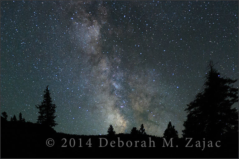 "Did you finally get the chance to dance along the light of day