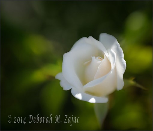 Unfolding