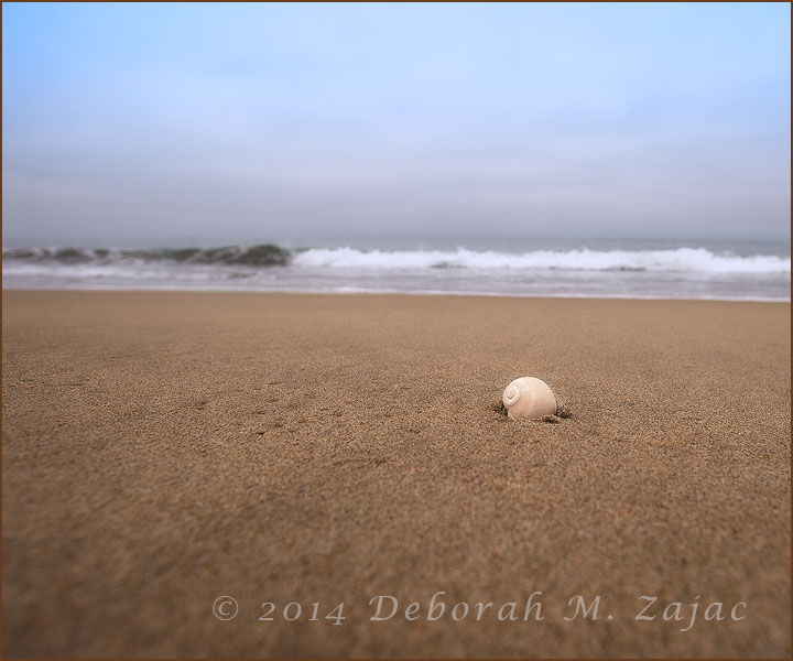 P52 33 of 52 A new day, a new beginning...