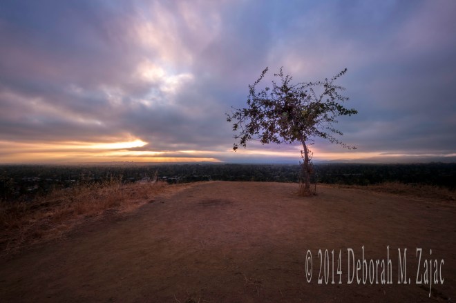 P52 34 of 52 Dawn Santa Clara County