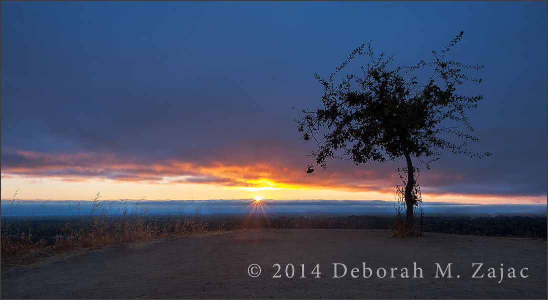 Daybreak Santa Clara Valley