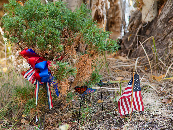 Memorial at Intake Lake 2