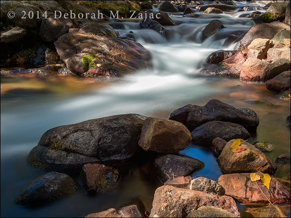 P52 42 of 52 Lee Vining Creek