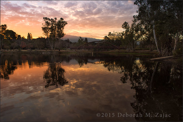 Dawn Vasona Lake Park Los Gatos CA