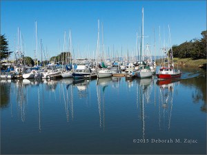 Moss Landing Marina