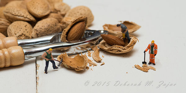 P52 6 of 52 The Nut Job