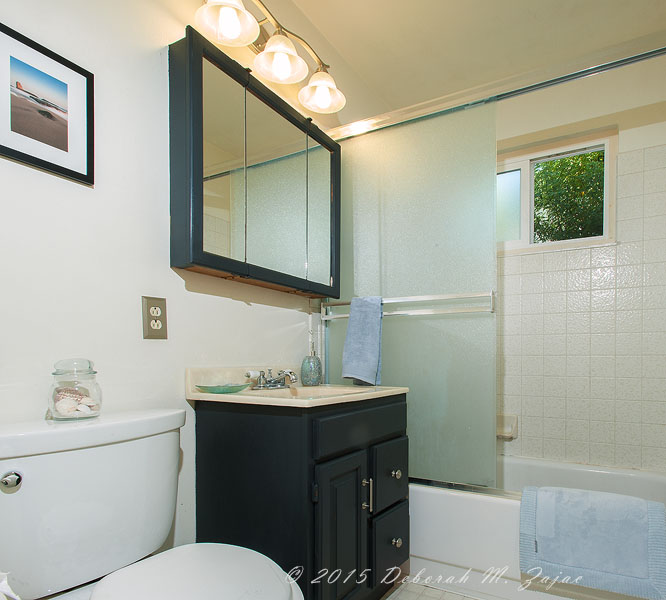 Hall Bathroom Before