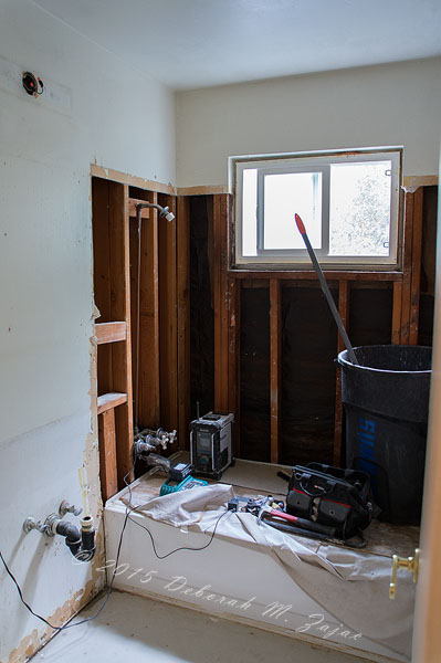 Hall Bathroom Demo Day
