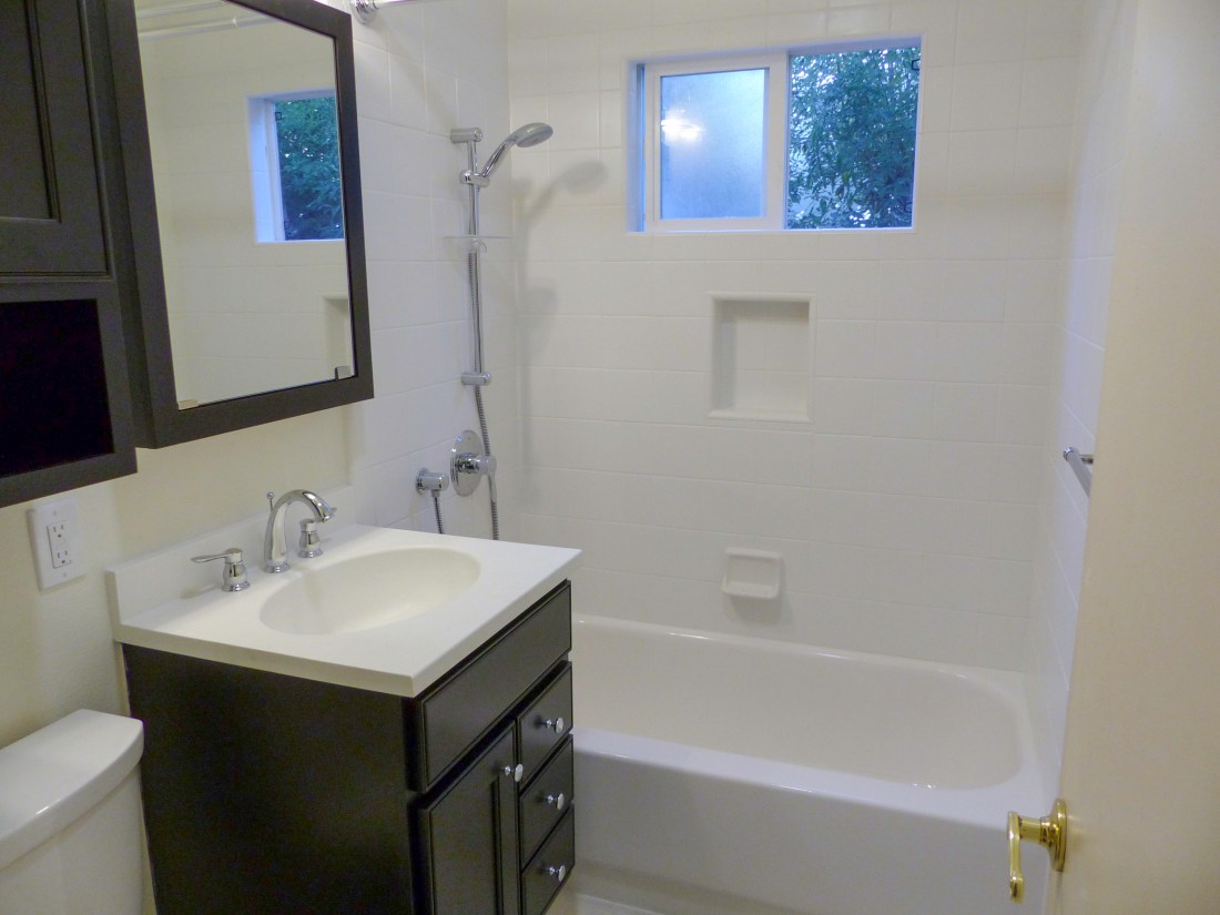 Day 16 Hall Bathroom Vanity Tub and Shower