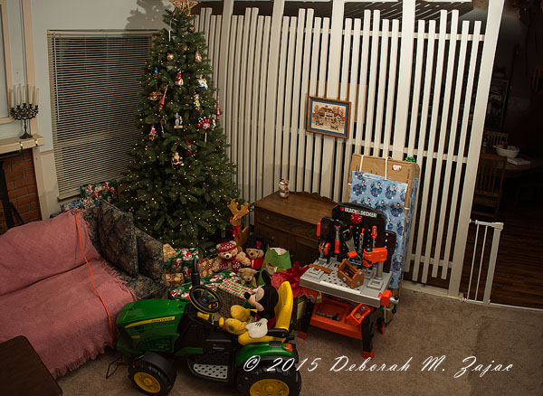 Partition  separating Living and Family Rm and Kitchen