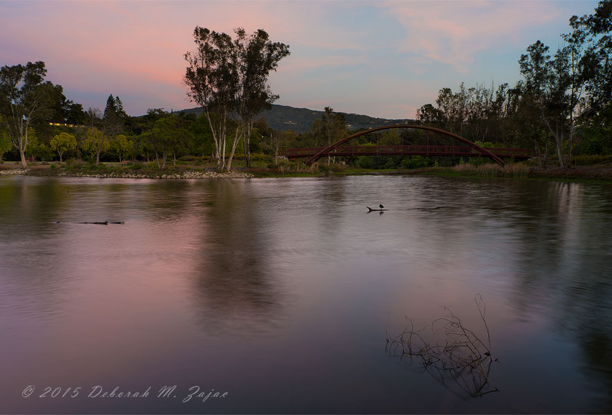 Vasona Lake Sunset