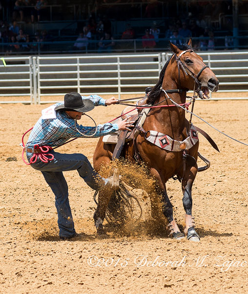 Cowboy and his Horse