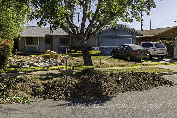 Staking out the new foundation