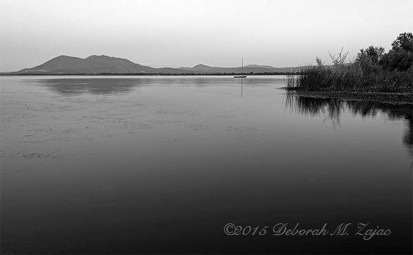 Monochrome Madness 2 13/52 Water